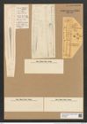 Climacosphenia elongata Bail. (de-Toni-Nr.: Genus 87, Species 2982) Zeichnungen Sammlung Grunow Nr. 6081 (NHMW-BOT-W0374600)